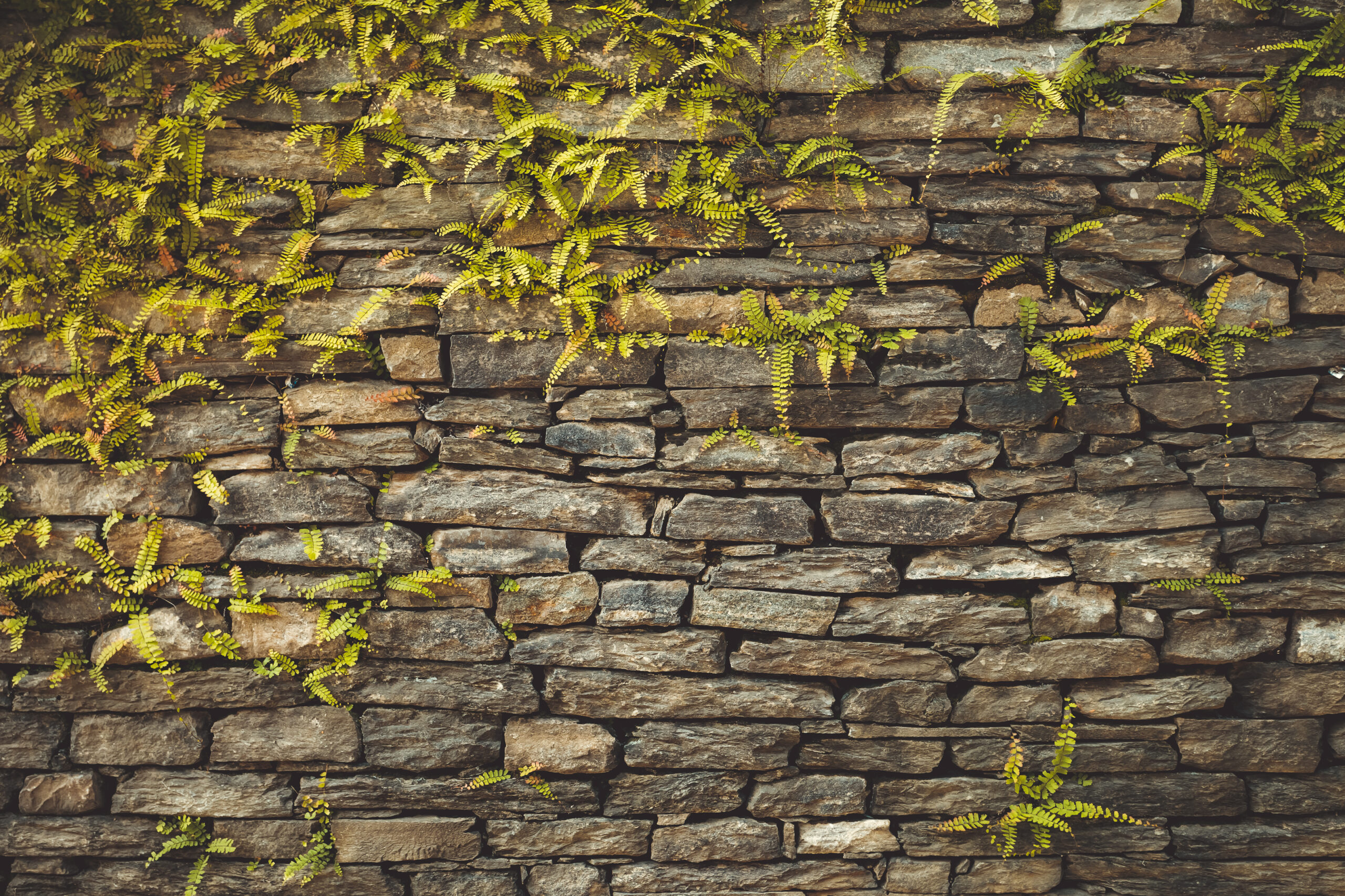 The Essentials of Retaining Wall Design for Thriving Landscapes