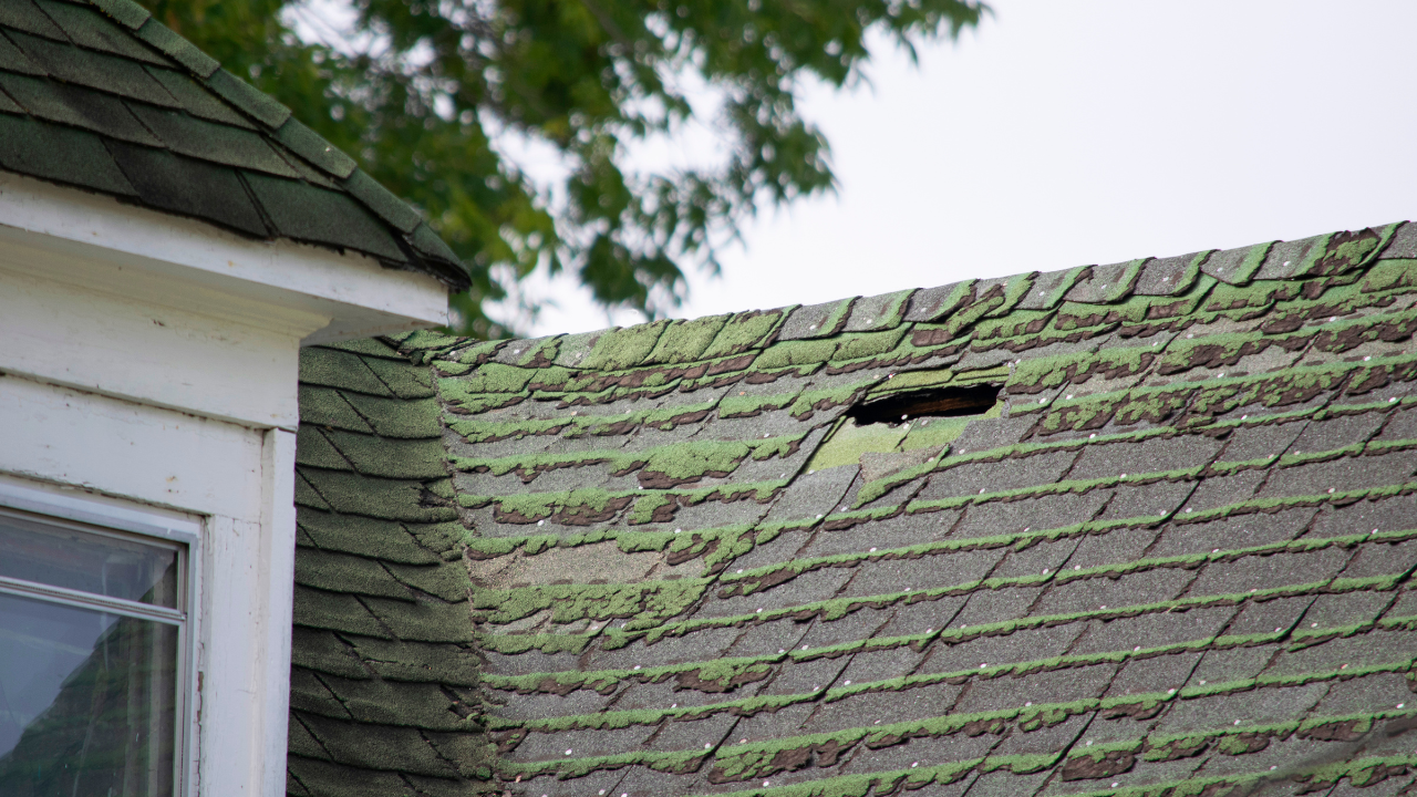 Roof Issues