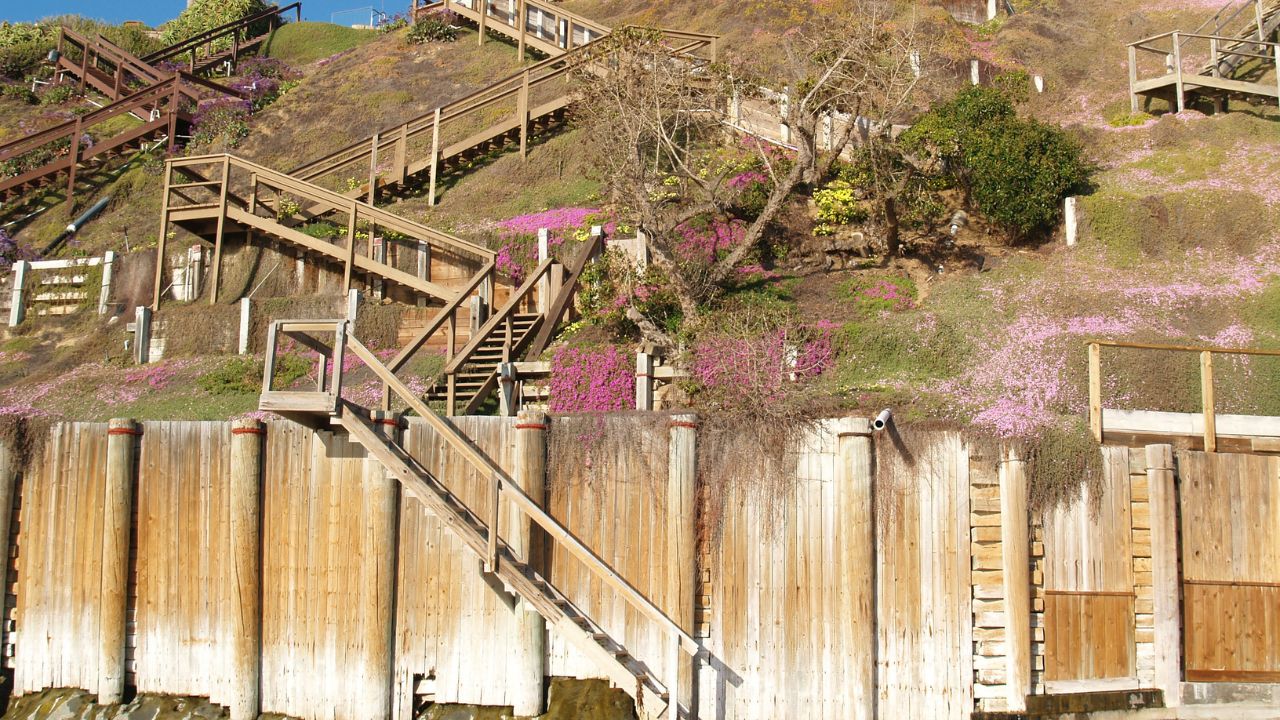 Timber Retaining Walls